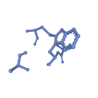 10363_6t1y_G_v1-1
Cryo-EM structure of phalloidin-stabilized F-actin (copolymerized)