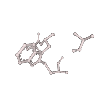 10363_6t1y_H_v1-1
Cryo-EM structure of phalloidin-stabilized F-actin (copolymerized)