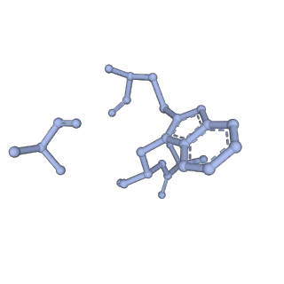 10363_6t1y_I_v1-1
Cryo-EM structure of phalloidin-stabilized F-actin (copolymerized)