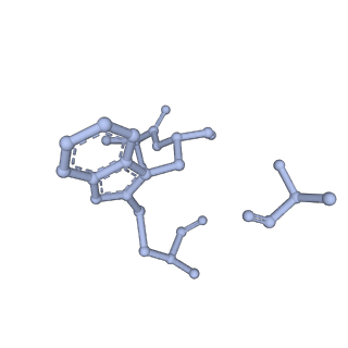 10363_6t1y_J_v1-1
Cryo-EM structure of phalloidin-stabilized F-actin (copolymerized)