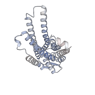 25586_7t10_R_v1-1
CryoEM structure of somatostatin receptor 2 in complex with somatostatin-14 and Gi3
