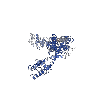 40958_8t1b_A_v1-0
Cryo-EM structure of full-length human TRPV4 in apo state