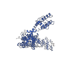 40958_8t1b_C_v1-0
Cryo-EM structure of full-length human TRPV4 in apo state