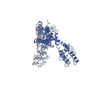40958_8t1b_D_v1-0
Cryo-EM structure of full-length human TRPV4 in apo state