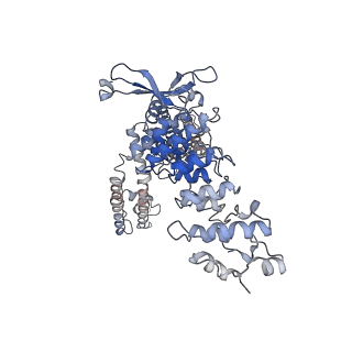 40960_8t1d_A_v1-0
Open-state cryo-EM structure of full-length human TRPV4 in complex with agonist 4a-PDD