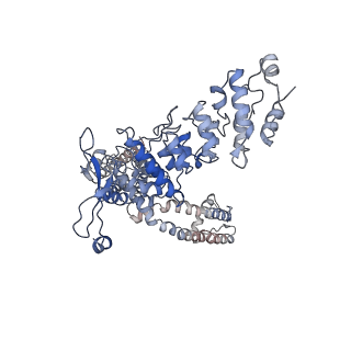 40960_8t1d_B_v1-0
Open-state cryo-EM structure of full-length human TRPV4 in complex with agonist 4a-PDD