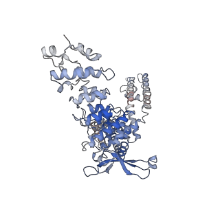 40960_8t1d_C_v1-0
Open-state cryo-EM structure of full-length human TRPV4 in complex with agonist 4a-PDD
