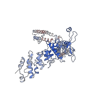 40960_8t1d_D_v1-0
Open-state cryo-EM structure of full-length human TRPV4 in complex with agonist 4a-PDD