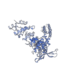 40961_8t1e_A_v1-0
Closed-state cryo-EM structure of full-length human TRPV4 in the presence of 4a-PDD