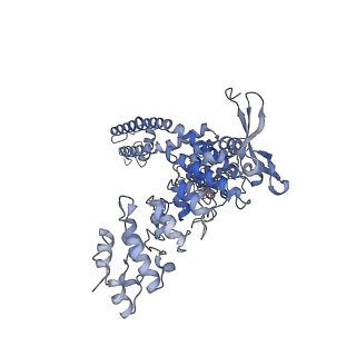 40961_8t1e_B_v1-0
Closed-state cryo-EM structure of full-length human TRPV4 in the presence of 4a-PDD