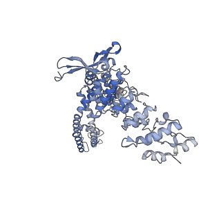 40961_8t1e_C_v1-0
Closed-state cryo-EM structure of full-length human TRPV4 in the presence of 4a-PDD