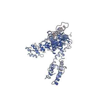 40962_8t1f_A_v1-0
Cryo-EM structure of full-length human TRPV4 in complex with antagonist HC-067047