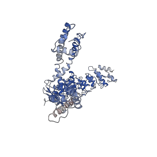 40962_8t1f_C_v1-0
Cryo-EM structure of full-length human TRPV4 in complex with antagonist HC-067047