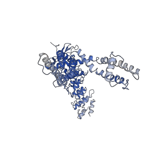 40962_8t1f_D_v1-0
Cryo-EM structure of full-length human TRPV4 in complex with antagonist HC-067047