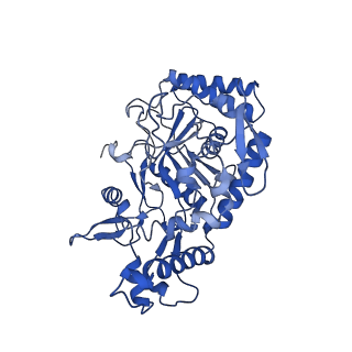 40969_8t1j_A_v1-1
Uncrosslinked nNOS-CaM oxygenase homodimer