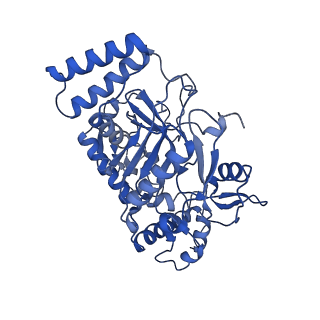 40969_8t1j_B_v1-1
Uncrosslinked nNOS-CaM oxygenase homodimer