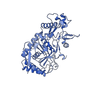 40970_8t1k_A_v1-1
DSBU crosslinked nNOS-CaM oxygenase homodimer