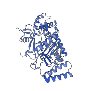 40970_8t1k_B_v1-1
DSBU crosslinked nNOS-CaM oxygenase homodimer