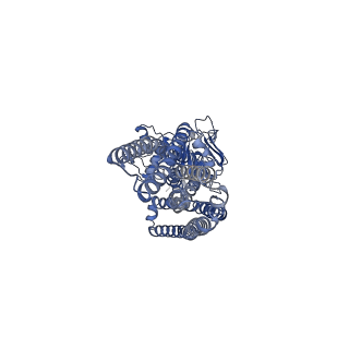 40974_8t1p_C_v1-1
Heterodimeric ABC transporter BmrCD in the occluded conformation bound to ADPVi: BmrCD_OC-ADPVi