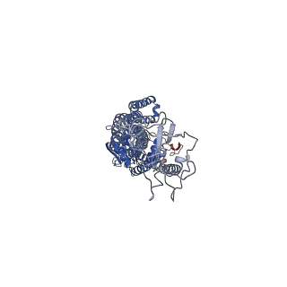 40974_8t1p_D_v1-1
Heterodimeric ABC transporter BmrCD in the occluded conformation bound to ADPVi: BmrCD_OC-ADPVi
