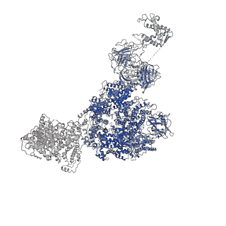 8342_5t15_B_v1-4
Structural basis for gating and activation of RyR1 (30 uM Ca2+ dataset, all particles)