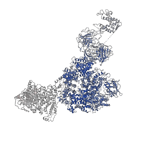 8342_5t15_B_v1-5
Structural basis for gating and activation of RyR1 (30 uM Ca2+ dataset, all particles)