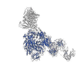 8342_5t15_E_v1-5
Structural basis for gating and activation of RyR1 (30 uM Ca2+ dataset, all particles)