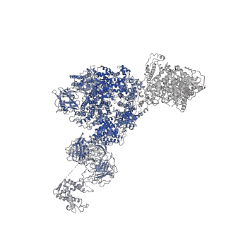 8342_5t15_G_v1-4
Structural basis for gating and activation of RyR1 (30 uM Ca2+ dataset, all particles)