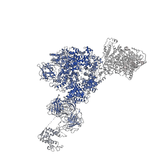 8342_5t15_G_v1-5
Structural basis for gating and activation of RyR1 (30 uM Ca2+ dataset, all particles)