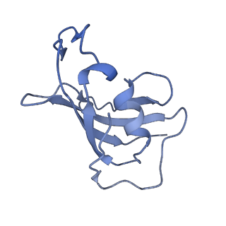 8342_5t15_H_v1-5
Structural basis for gating and activation of RyR1 (30 uM Ca2+ dataset, all particles)