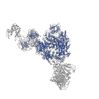 8342_5t15_I_v1-5
Structural basis for gating and activation of RyR1 (30 uM Ca2+ dataset, all particles)