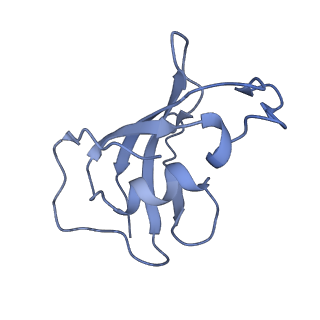 8342_5t15_J_v1-5
Structural basis for gating and activation of RyR1 (30 uM Ca2+ dataset, all particles)