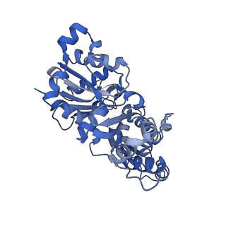 10364_6t20_A_v1-1
Cryo-EM structure of phalloidin-stabilized F-actin (aged)