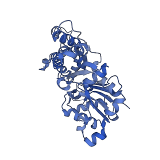 10364_6t20_B_v1-1
Cryo-EM structure of phalloidin-stabilized F-actin (aged)