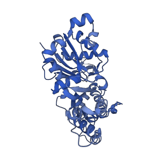 10364_6t20_C_v1-1
Cryo-EM structure of phalloidin-stabilized F-actin (aged)