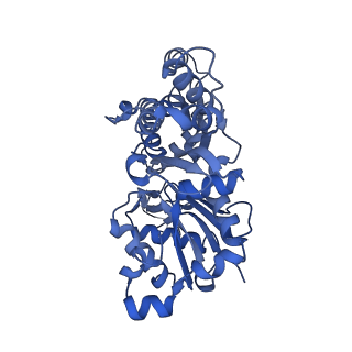 10364_6t20_D_v1-1
Cryo-EM structure of phalloidin-stabilized F-actin (aged)