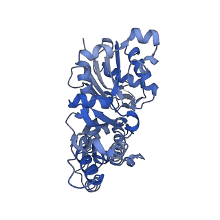 10364_6t20_E_v1-1
Cryo-EM structure of phalloidin-stabilized F-actin (aged)
