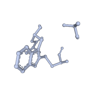 10364_6t20_F_v1-1
Cryo-EM structure of phalloidin-stabilized F-actin (aged)