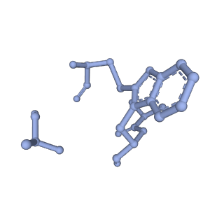 10364_6t20_G_v1-1
Cryo-EM structure of phalloidin-stabilized F-actin (aged)