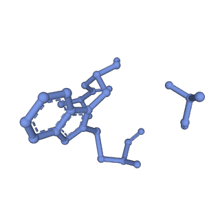 10364_6t20_H_v1-1
Cryo-EM structure of phalloidin-stabilized F-actin (aged)