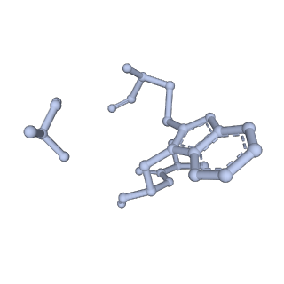 10364_6t20_I_v1-1
Cryo-EM structure of phalloidin-stabilized F-actin (aged)
