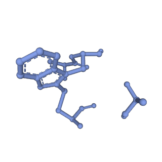 10364_6t20_J_v1-1
Cryo-EM structure of phalloidin-stabilized F-actin (aged)