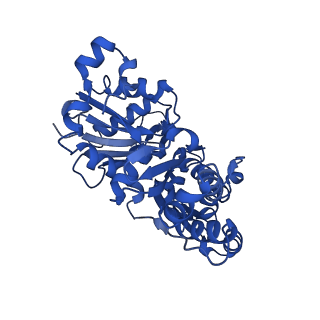 10365_6t23_A_v1-1
Cryo-EM structure of jasplakinolide-stabilized F-actin (aged)