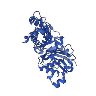 10365_6t23_B_v1-1
Cryo-EM structure of jasplakinolide-stabilized F-actin (aged)