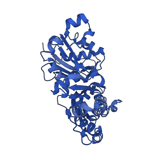 10365_6t23_C_v1-1
Cryo-EM structure of jasplakinolide-stabilized F-actin (aged)