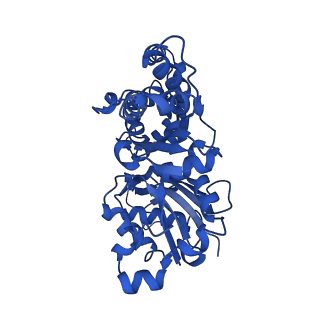 10365_6t23_D_v1-1
Cryo-EM structure of jasplakinolide-stabilized F-actin (aged)