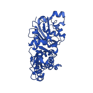 10365_6t23_E_v1-1
Cryo-EM structure of jasplakinolide-stabilized F-actin (aged)