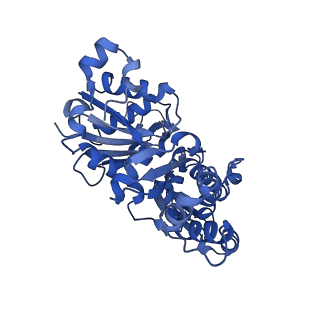 10366_6t24_A_v1-1
Cryo-EM structure of jasplakinolide-stabilized F-actin (aged)