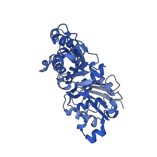 10366_6t24_B_v1-1
Cryo-EM structure of jasplakinolide-stabilized F-actin (aged)