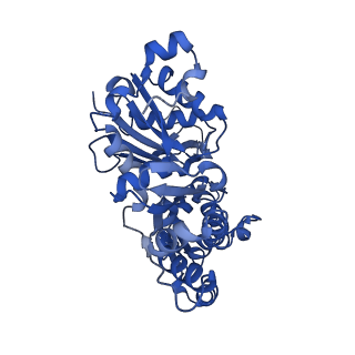 10366_6t24_C_v1-1
Cryo-EM structure of jasplakinolide-stabilized F-actin (aged)